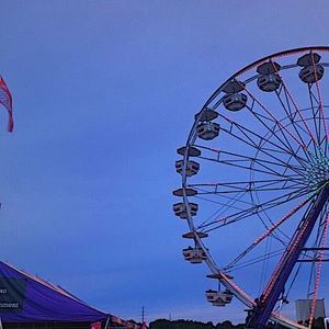 Meet your Posher, Riley